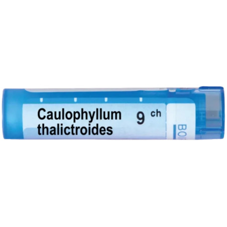 Caulophyllum thalictroides 9