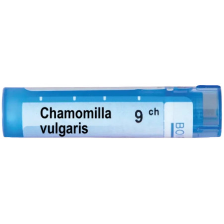 Chamomilla vulgaris 9 ch