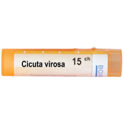 Cicuta virosa 15 ch