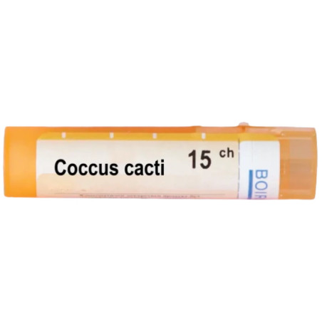 Coccus cacti 15 ch
