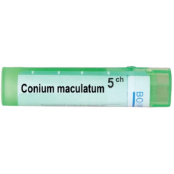 Conium maculatum 5 ch