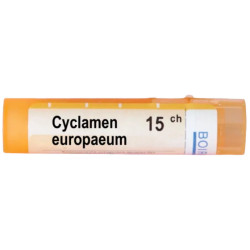 Cyclamen europeum 15 ch