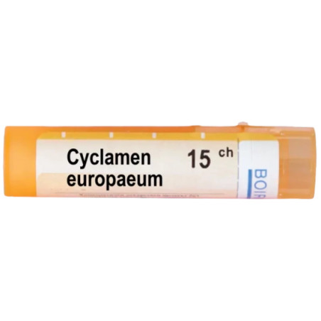 Cyclamen europeum 15 ch