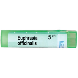 Euphrasia officinalis 5 ch