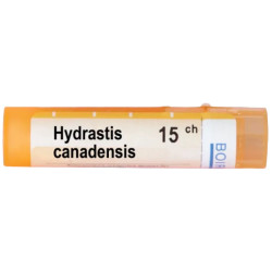 Hydrastis canadensis 15 ch