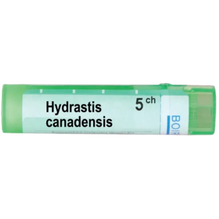Hydrastis canadensis 5 ch