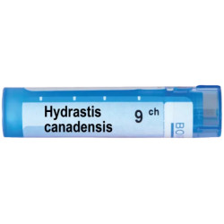 Hydrastis canadensis 9 ch