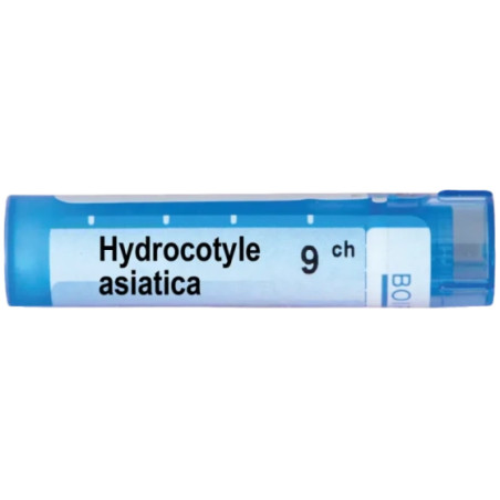 Hydrocotyle asiatica 9ch