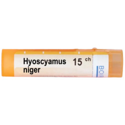 Hyoscyamus niger 15 ch