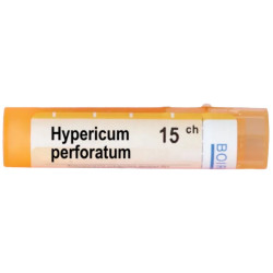 Hypericum perforatum 15 ch
