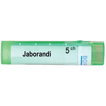 Jaborandi 5 ch