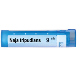 Naja tripudians 9 ch