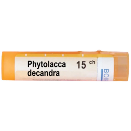 Phytolacca decandra 15 ch
