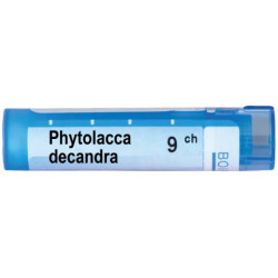 Phytolacca decandra 9 ch