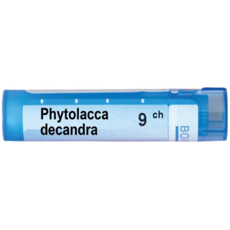 Phytolacca decandra 9 ch