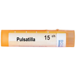 Pulsatilla 15 ch
