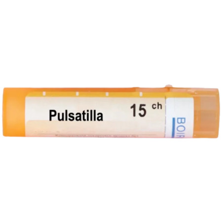 Pulsatilla 15 ch