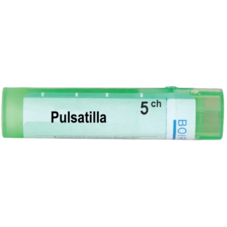 Pulsatilla 5 ch