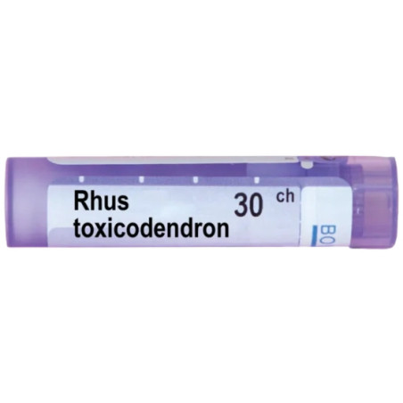 Rhus toxicodendron 30 ch