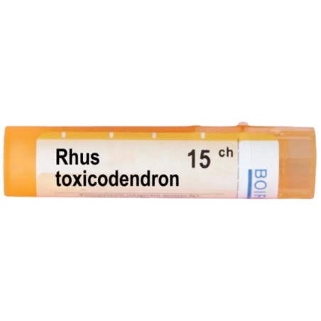 Rhus toxicodendron 15 ch