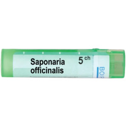 Saponaria officinalis 5 ch