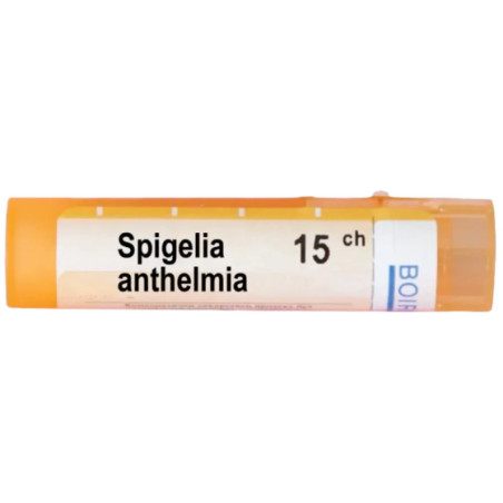Spigelia anthelmia 15 ch