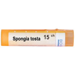 Spongia tosta 15 ch